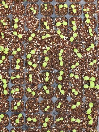 종일님의 자유주제 · 자유게시판 작성글 사진