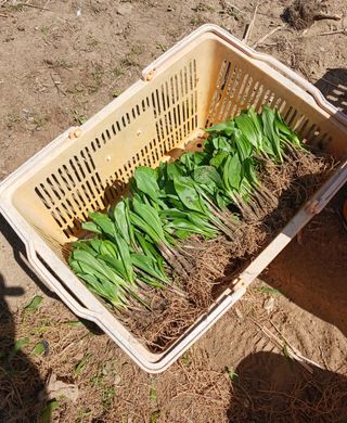 황덕순 님의 작성글 사진