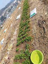 이박농장님의 자유주제·자유게시판 작성글 사진