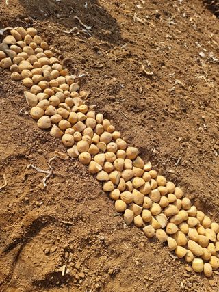 조경준님의 자유주제 · 자유게시판 작성글 사진