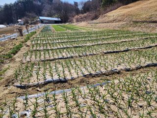 김정기 님의 자유주제 · 자유게시판 작성글 사진