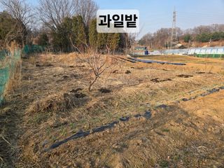 들꽃농장님의 자유주제 · 자유게시판 작성글 사진