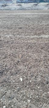 서녕영더기님의 자유주제·건의해요 작성글 사진