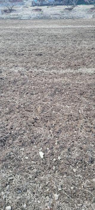 서녕영더기님의 자유주제 · 건의해요 작성글 사진