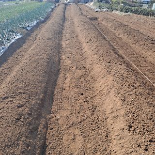 나누고싶어서님의 자유주제 · 자유게시판 작성글 사진