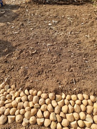 조경준님의 자유주제 · 자유게시판 작성글 사진