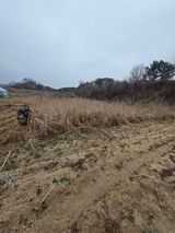 행운농부님의 자유주제·자유게시판 작성글 사진