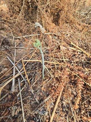 참깨김성욱9810님의 자유주제 · 자유게시판 작성글 사진