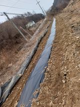 팜모닝 농사, 무엇이든 물어보세요!·참여글 게시글 이미지