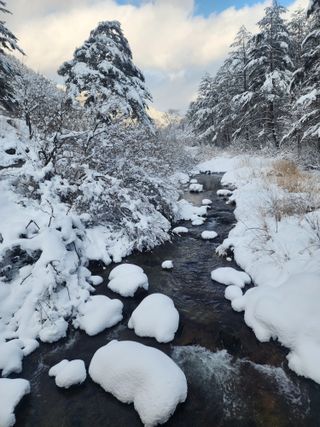 손을선님의 자유주제 · 자유게시판 작성글 사진