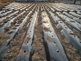 백용기님의 자유주제 · 자유게시판 작성글 사진