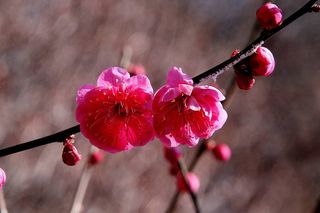 안길원님의 자유주제 · 자유게시판 작성글 사진
