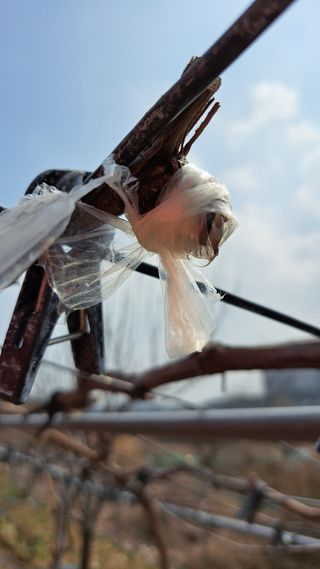 주윤발이님의 자유주제 · 자유게시판 작성글 사진
