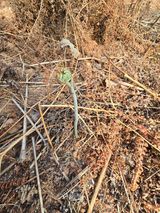 참깨김성욱9810님의 자유주제·자유게시판 작성글 사진