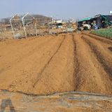 팜모닝 자유주제·자유게시판 게시글 이미지