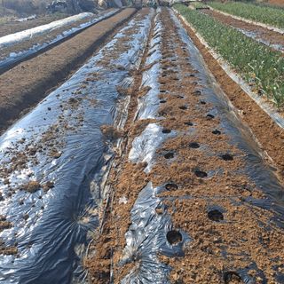 나누고싶어서님의 자유주제 · 자유게시판 작성글 사진