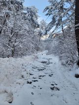 손을선님의 자유주제·자유게시판 작성글 사진