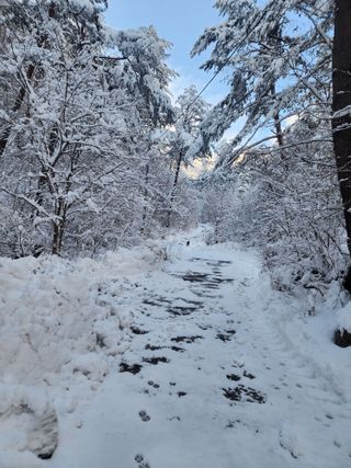 손을선님의 자유주제 · 자유게시판 작성글 사진