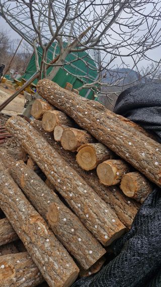 정석구님의 자유주제 · 자유게시판 작성글 사진