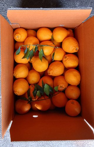 하하하님의 자유주제 · 자유게시판 작성글 사진