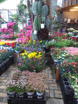 팜모닝 자유주제·자유게시판 게시글 이미지