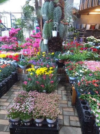 박웅님의 자유주제 · 자유게시판 작성글 사진