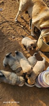 팜모닝 자유주제·자유게시판 게시글 이미지