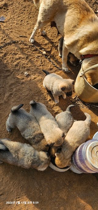 장용선 사진작가농부님의 자유주제 · 자유게시판 작성글 사진