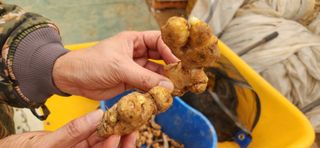 임원식님의 자유주제 · 자유게시판 작성글 사진