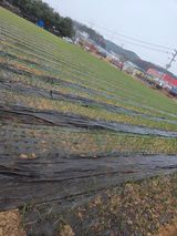 태일농산이정수님의 자유주제·자유게시판 작성글 사진