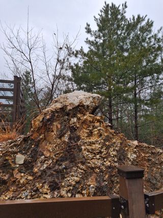 MSG0074님의 자유주제 · 자유게시판 작성글 사진