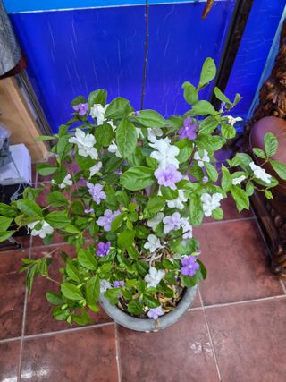 왕대추님의 자유주제·자유게시판 작성글 사진