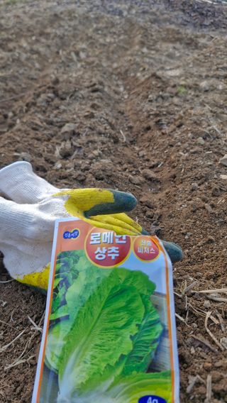 정석구님의 자유주제 · 자유게시판 작성글 사진