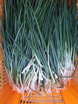 하나라도 소중하게님의 자유주제·자유게시판 작성글 사진