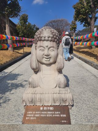 제주부자팜님의 자유주제 · 자유게시판 작성글 사진