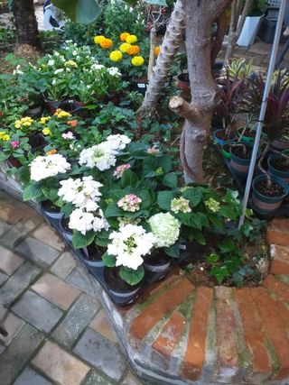 박웅님의 자유주제 · 자유게시판 작성글 사진