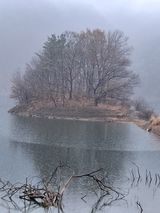 팜모닝 자유주제·자유게시판 게시글 이미지