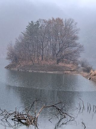 MSG0074님의 자유주제 · 자유게시판 작성글 사진