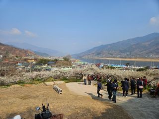 대봉매실 인생이막님의 자유주제 · 자유게시판 작성글 사진