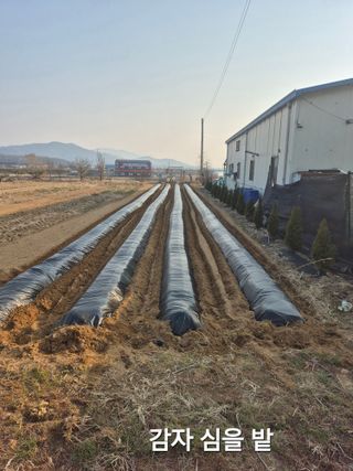 찬균park님의 자유주제·자유게시판 작성글 사진