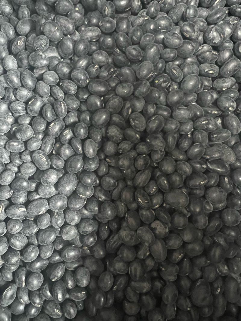 강원도농산물님의 장터 판매 상품 [2025국내 서리태 1kg] 첨부 사진