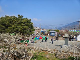 대봉매실 인생이막님의 자유주제 · 자유게시판 작성글 사진