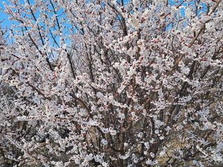 윤형곤님의 자유주제 · 자유게시판 작성글 사진
