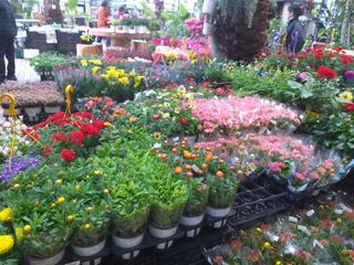 박웅님의 자유주제 · 자유게시판 작성글 사진