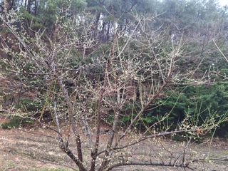 MSG0074님의 자유주제 · 자유게시판 작성글 사진