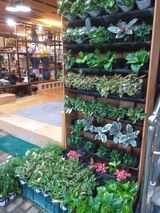 박웅님의 자유주제·자유게시판 작성글 사진