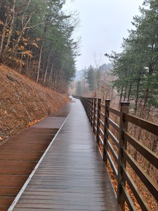 MSG0074님의 자유주제 · 자유게시판 작성글 사진