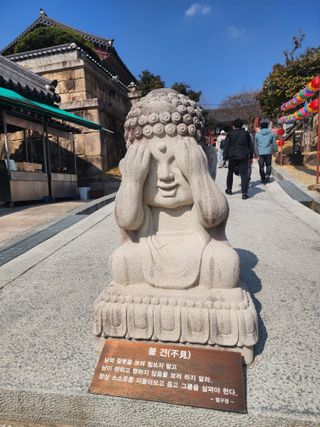 제주부자팜님의 자유주제 · 자유게시판 작성글 사진