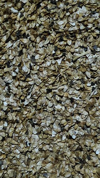 장두원님의 작성글 사진