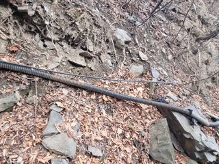 김용대님의 자유주제 · 자유게시판 작성글 사진